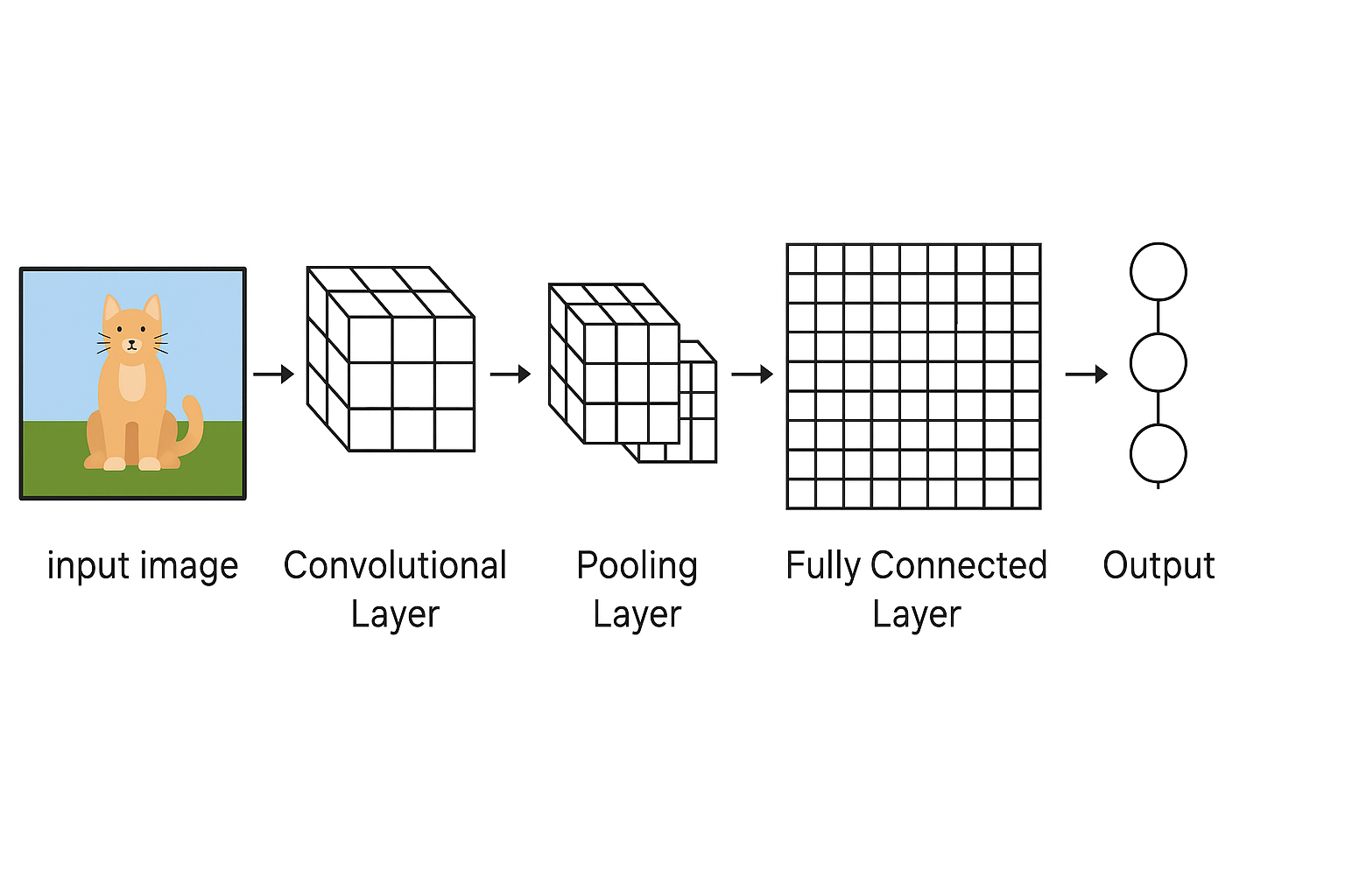 Diagram showing CNN architecture with layers processing an image from input to output